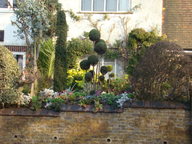 dsc01349_thumb.jpg