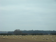dsc01169_thumb.jpg