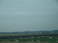dsc01175_thumb.jpg