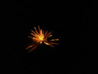 dsc00861_thumb.jpg