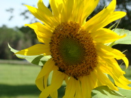 dsc00765_thumb.jpg