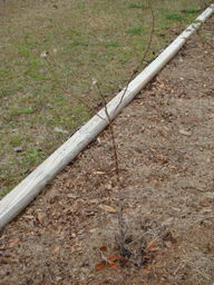 bu-r3_thumb.jpg