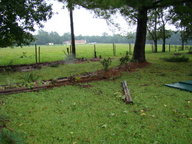 dsc01017_thumb.jpg