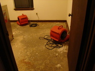 dsc01019_thumb.jpg