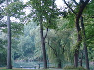 dsc00342_thumb.jpg