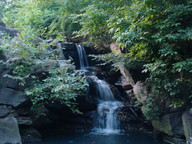 dsc00343_thumb.jpg