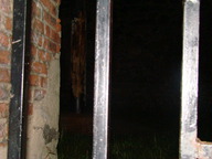 dsc00356_thumb.jpg