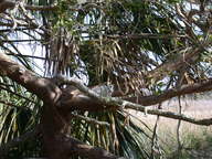 dscn2921_thumb.jpg