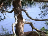 dscn2923_thumb.jpg
