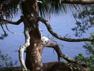 dscn2924_thumb.jpg