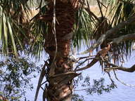 dscn2925_thumb.jpg