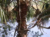 dscn2926_thumb.jpg