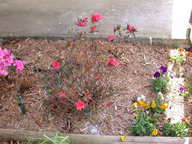 dscn3608_thumb.jpg