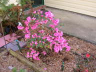 dscn3609_thumb.jpg