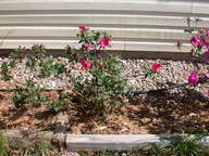 dscn3614_thumb.jpg