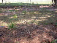 dscn3618_thumb.jpg