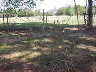dscn3619_thumb.jpg