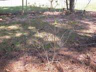 dscn3620_thumb.jpg