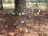 dscn3621_thumb.jpg