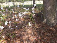 dscn3622_thumb.jpg