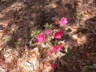 dscn3624_thumb.jpg