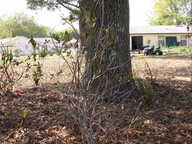 dscn3628_thumb.jpg