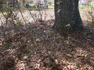 dscn3629_thumb.jpg