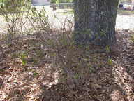 dscn3630_thumb.jpg