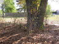 dscn3631_thumb.jpg