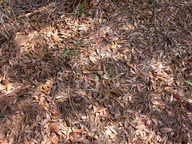 dscn3632_thumb.jpg