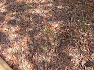 dscn3633_thumb.jpg