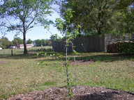 dscn3635_thumb.jpg