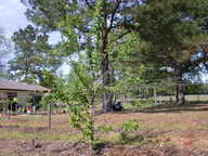 dscn3636_thumb.jpg