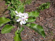 dscn3637_thumb.jpg