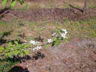 dscn3640_thumb.jpg