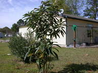 dscn3641_thumb.jpg