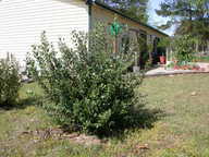 dscn3642_thumb.jpg