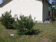 dscn3643_thumb.jpg