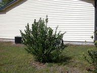 dscn3644_thumb.jpg