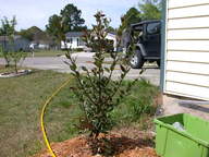 dscn3645_thumb.jpg