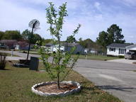 dscn3646_thumb.jpg