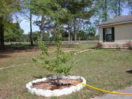 dscn3647_thumb.jpg