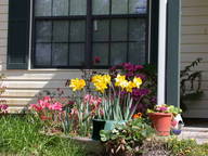 dscn3648_thumb.jpg