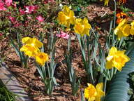dscn3649_thumb.jpg