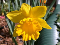 dscn3650_thumb.jpg