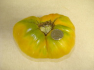 dsc02063_thumb.jpg