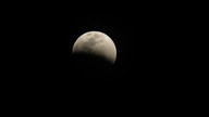 img_3475_thumb.jpg