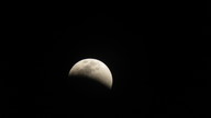 img_3486_thumb.jpg