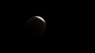img_3491_thumb.jpg