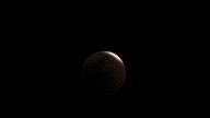 img_3493_thumb.jpg